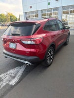 2020 Ford Escape Hybrid SE Sport