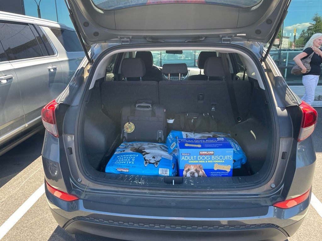 2017 Hyundai Tucson SE