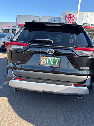 2019 Toyota RAV4 Adventure