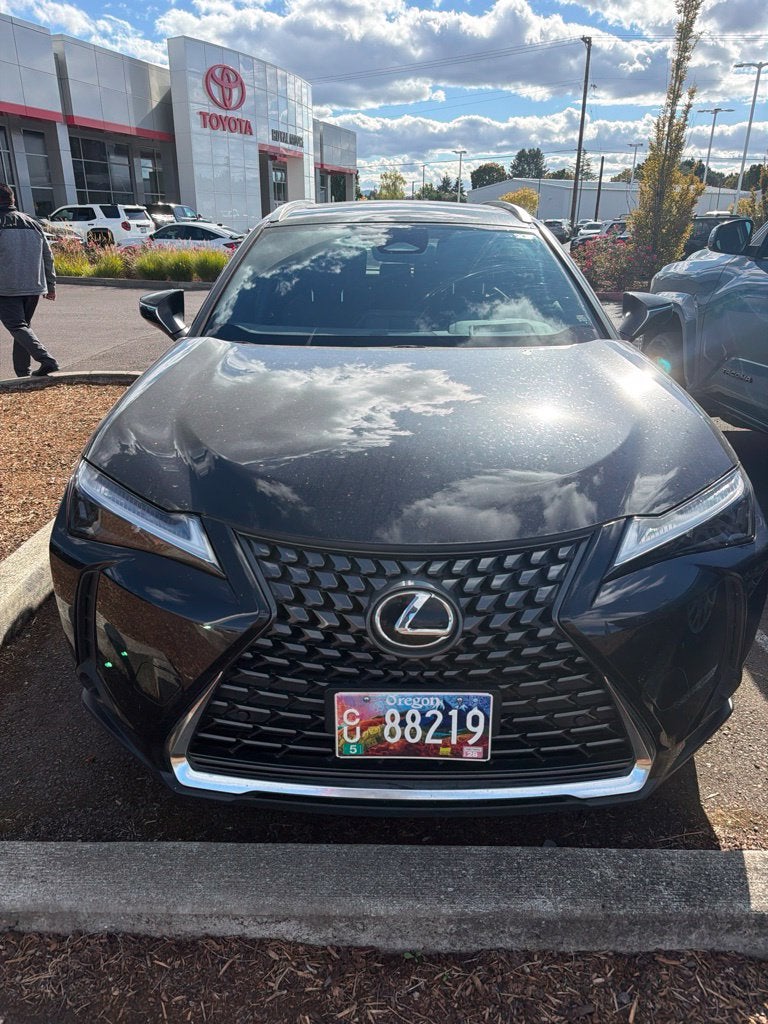 2025 Lexus UX 300h Premium