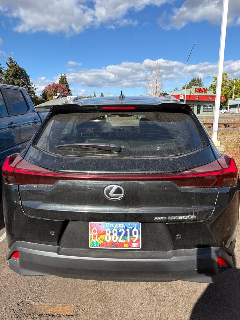 2025 Lexus UX 300h Premium