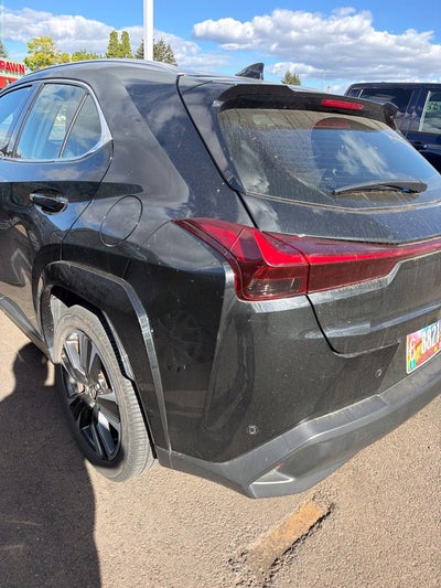 2025 Lexus UX 300h Premium