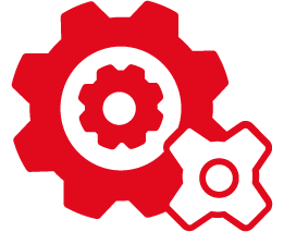 Expert Service Options